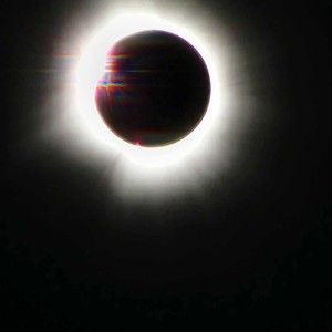 Meet your Posher, Donata